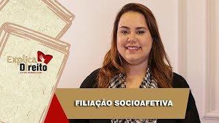 Explica Direito Filiação Socioafetiva  2019 [upl. by Nuli481]